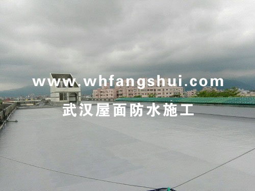 武汉东西湖某工业园屋顶防水施工