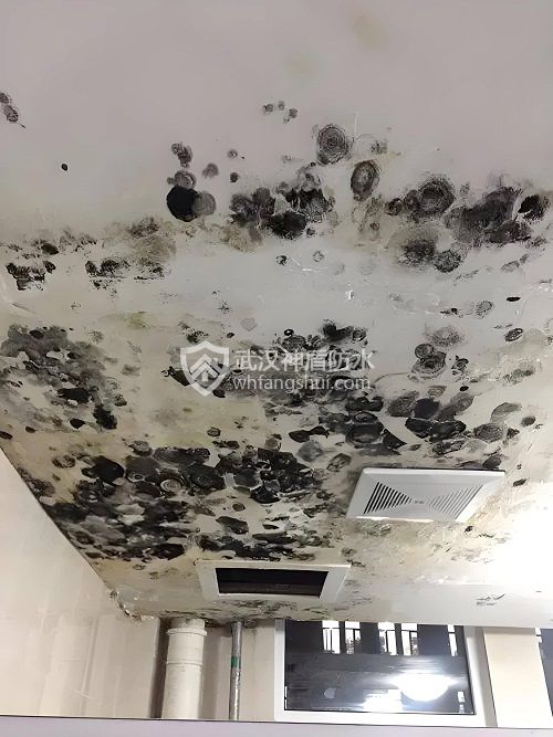 预防地下室防潮防霉的有效方法