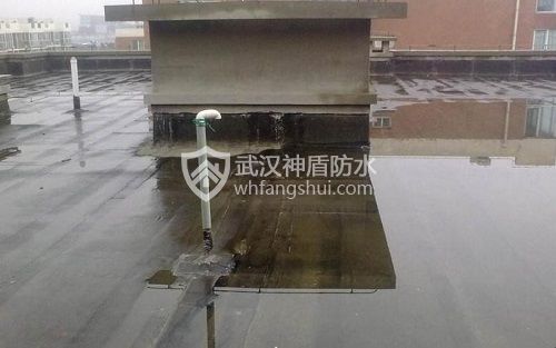 屋面积水导致渗漏水的防水堵漏维修方案